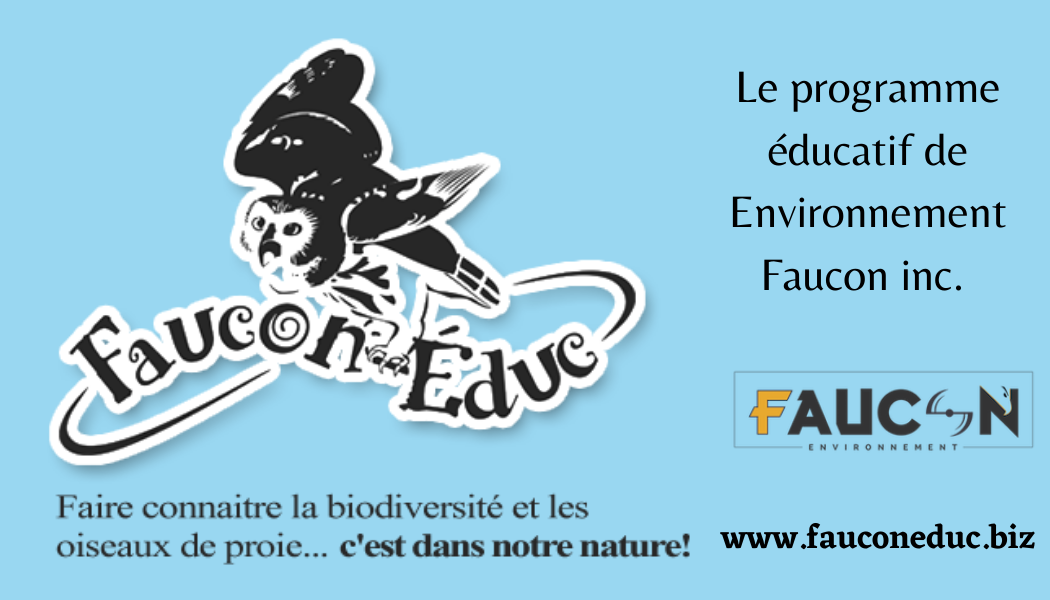 Partenaires